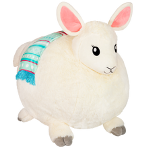 Little Llama