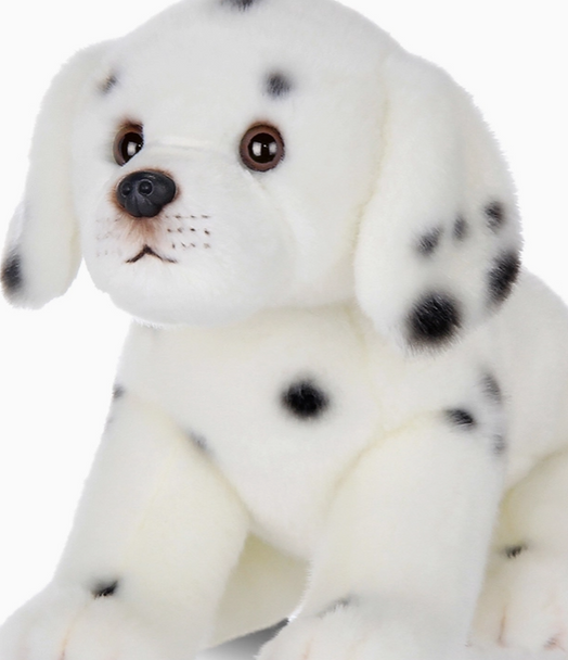 Diggs the Dalmatian