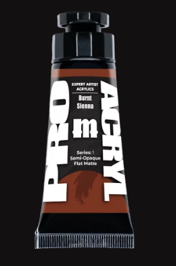 Expert Acrylics 010 - Burnt Sienna