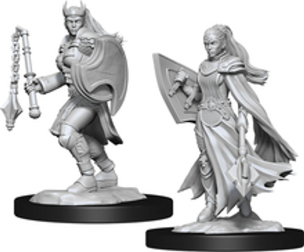 Kalashtar Cleric Female W14  Dungeons and Dragons Nolzur's Marvelous Unpainted Miniatures