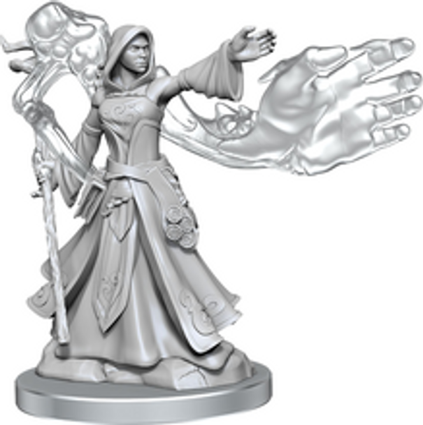 Dungeons & Dragons Frameworks: W01 Elf Wizard Female