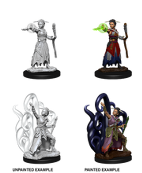 Female Human Warlock with Tentacles Dungeons & Dragons Nolzur`s Marvelous Unpainted Miniatures