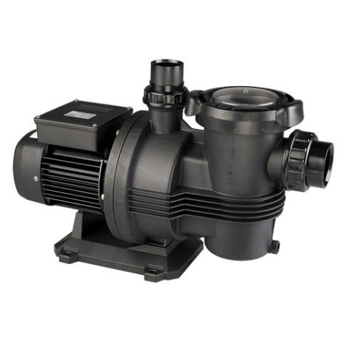 Davey Typhoon C75M 0.75HP - Swimming Pool Pump Davey Typhoon C75M 0.75HP - Swimming Pool Pump