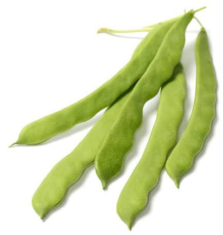 Romano Green (رومانو اخضر)