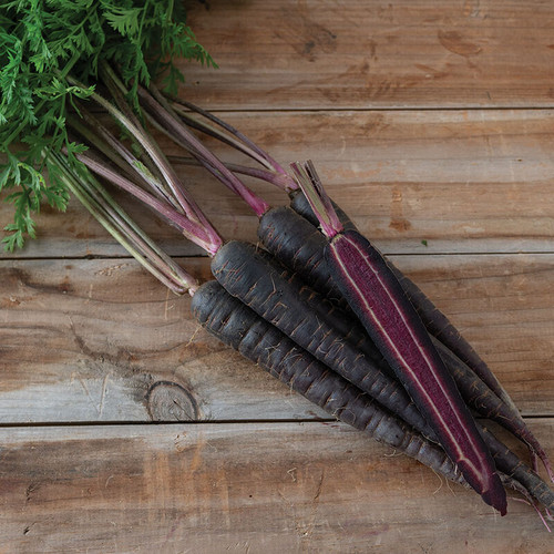 Deep Purple (ديب بربل)