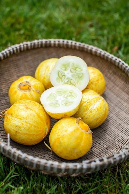 Lemon (ليمون)