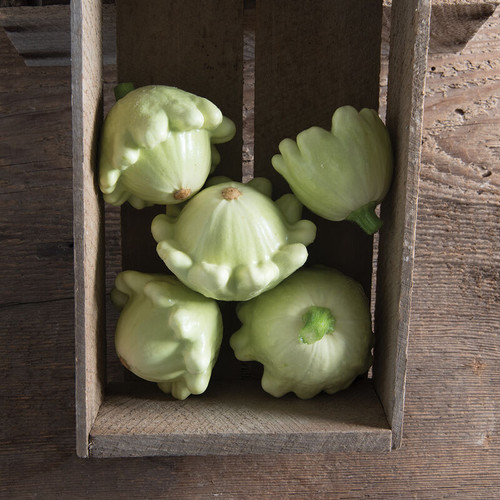 Light Green Patty Pans (باتي بان اخضر فاتح)