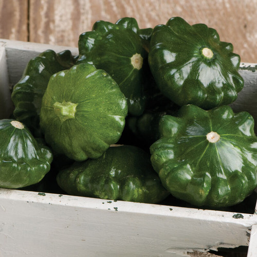 Green Patty Pans (باتي بان اخضر)