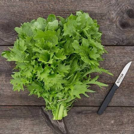 Wasabi Mustard (اخضر عريض)