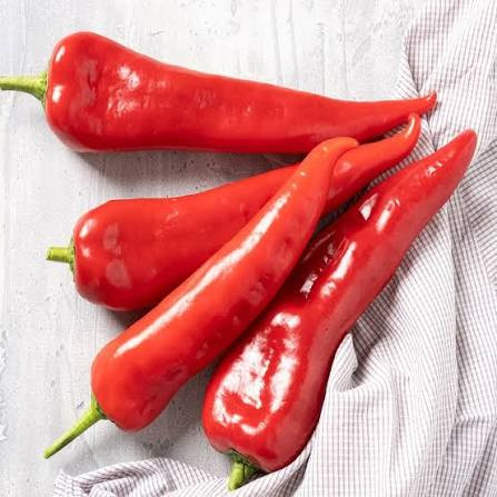 Bull Horn - Red (بول هورن احمر )