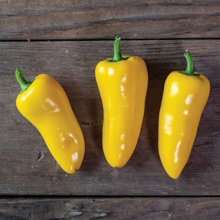 Snack Pepper- Yellow (سناك بيبر اصفر)