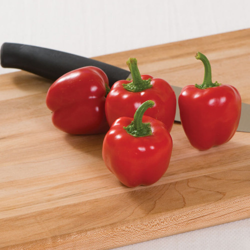 Cupid Mini Bell Pepper (كيوبيد بيل بيبر)