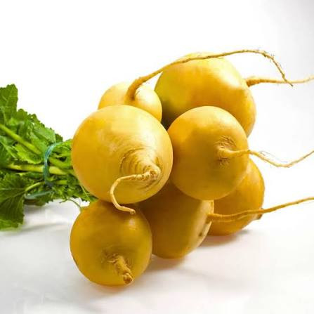 Gold Turnip(حولد ترنب)