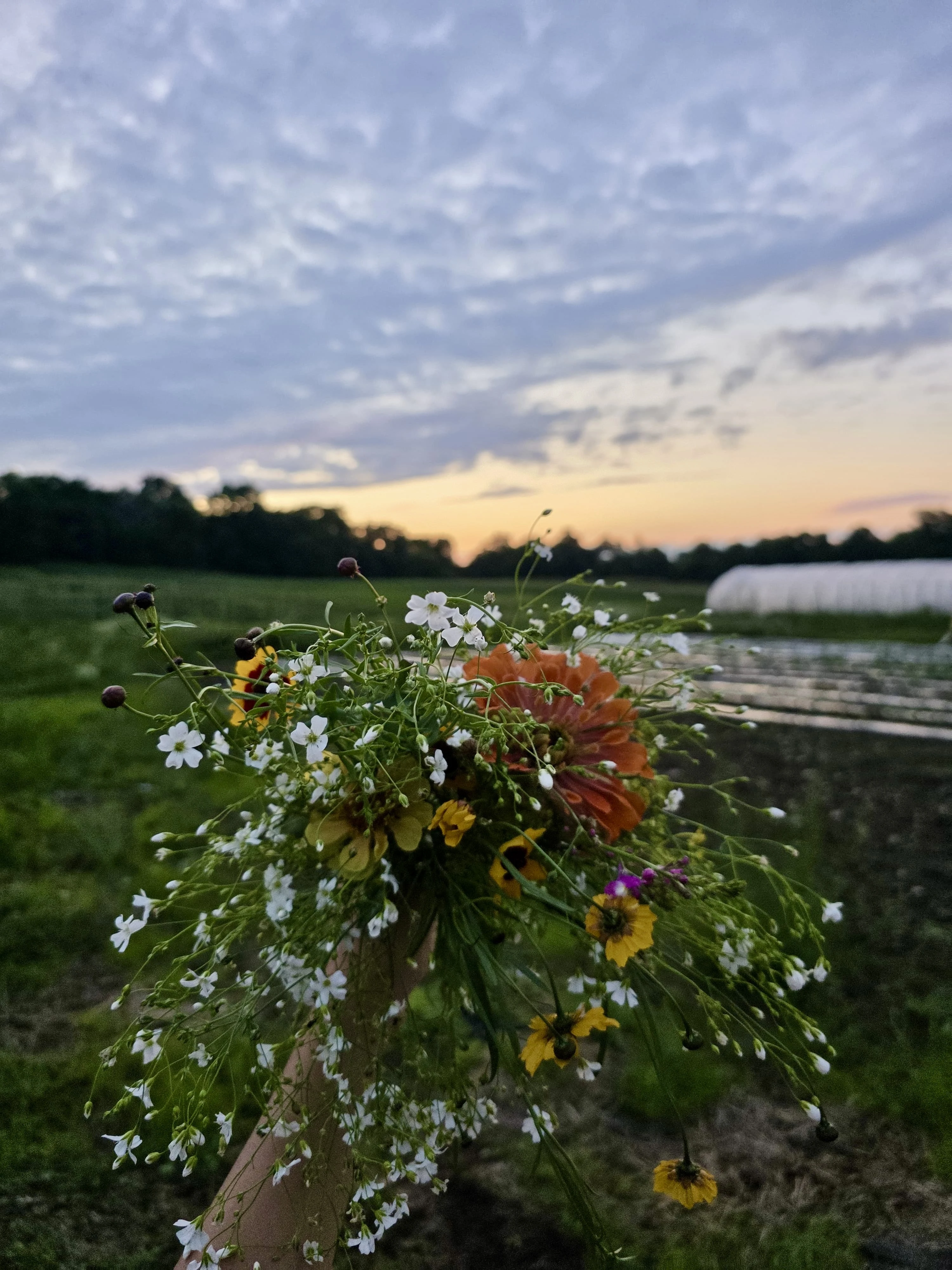 Fresh From The Fields