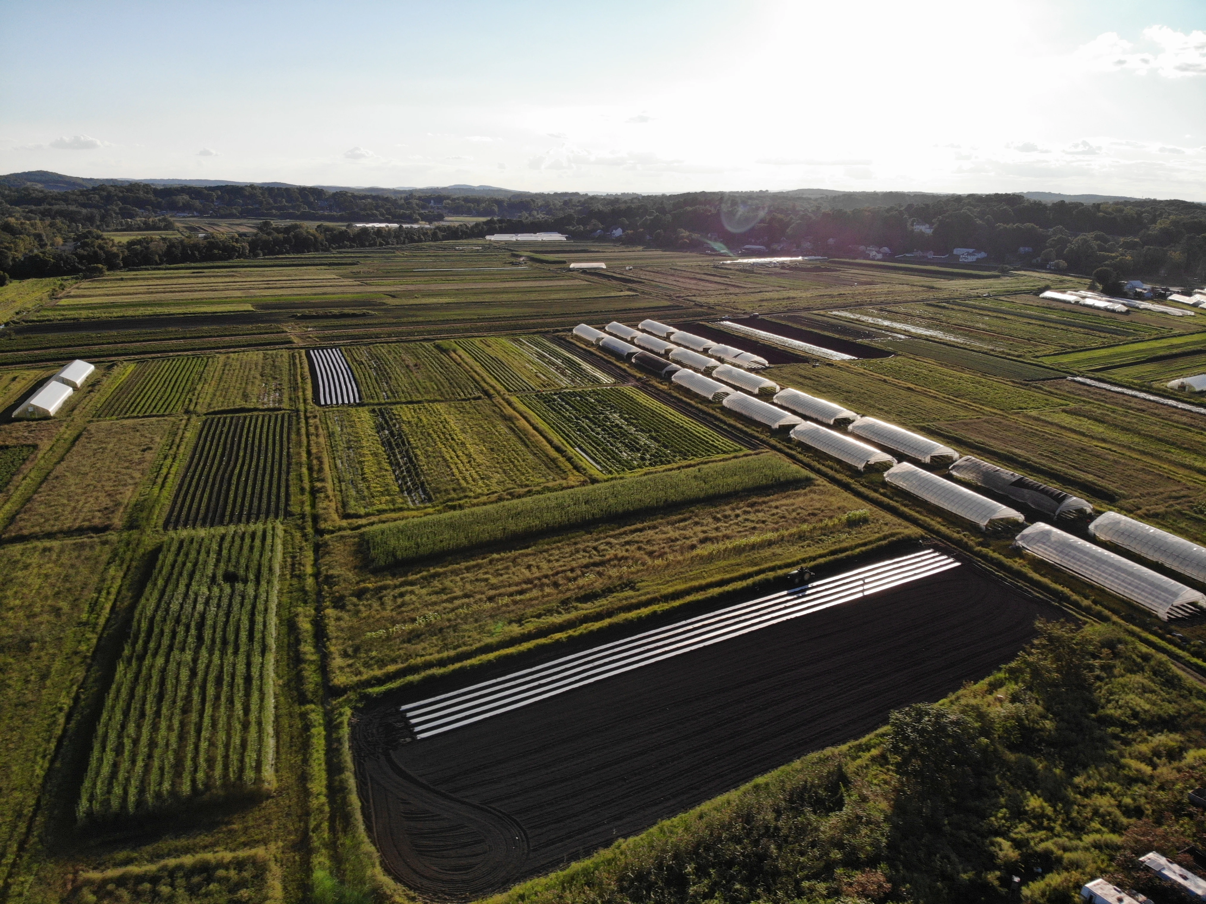 Aerial view of Halal Pastures
