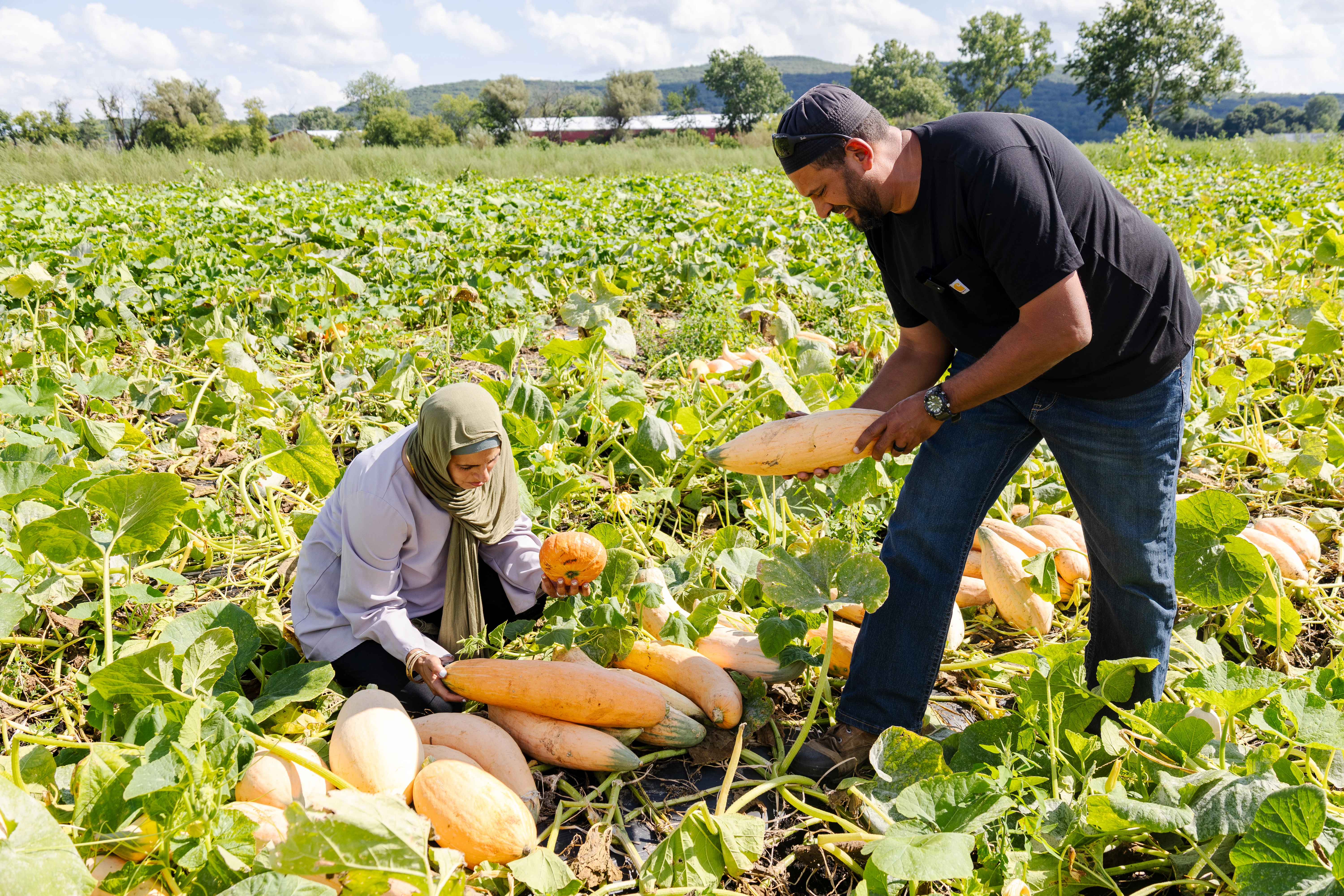 Farm workers at Halal Pastures