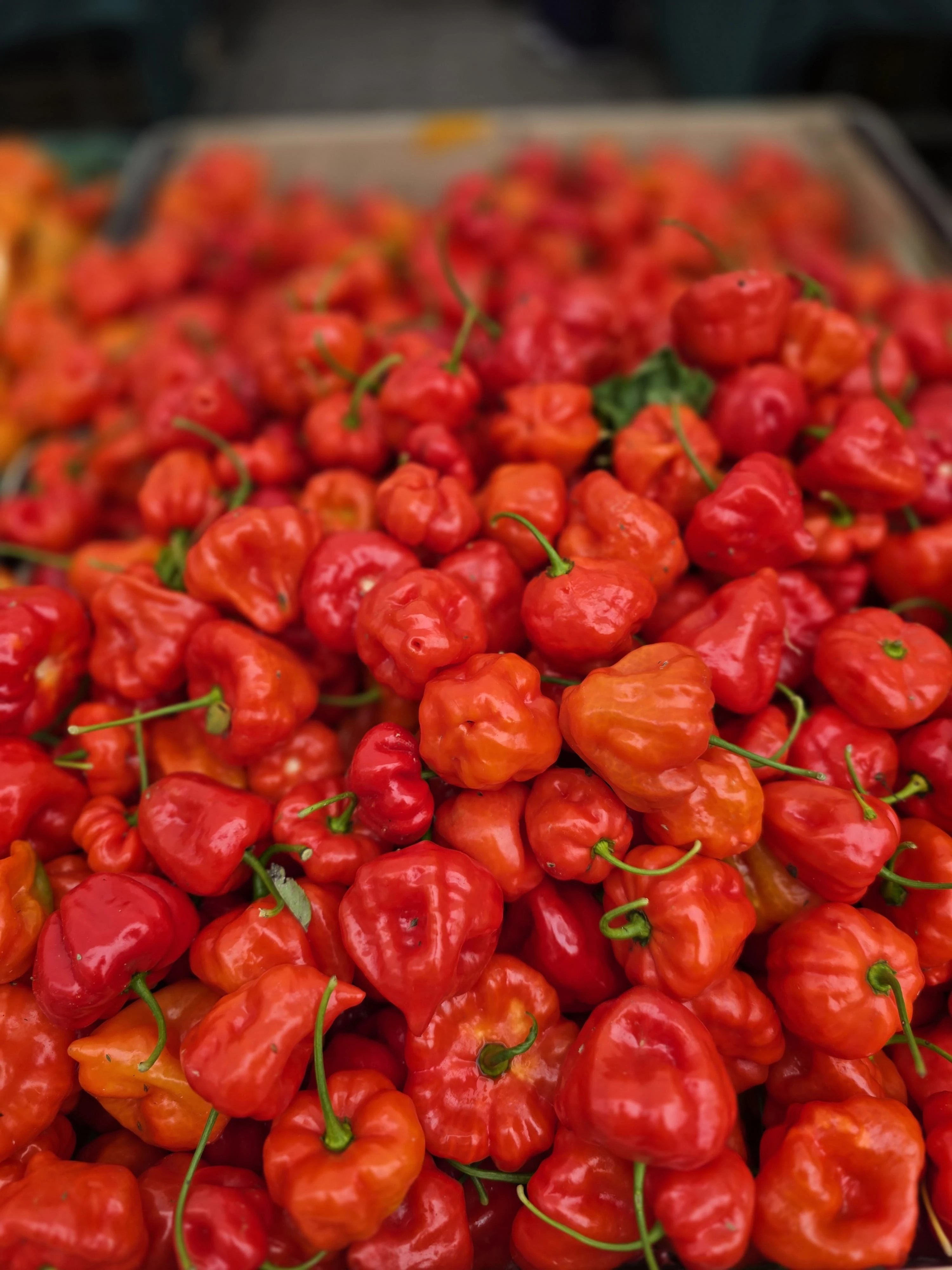 Peppers