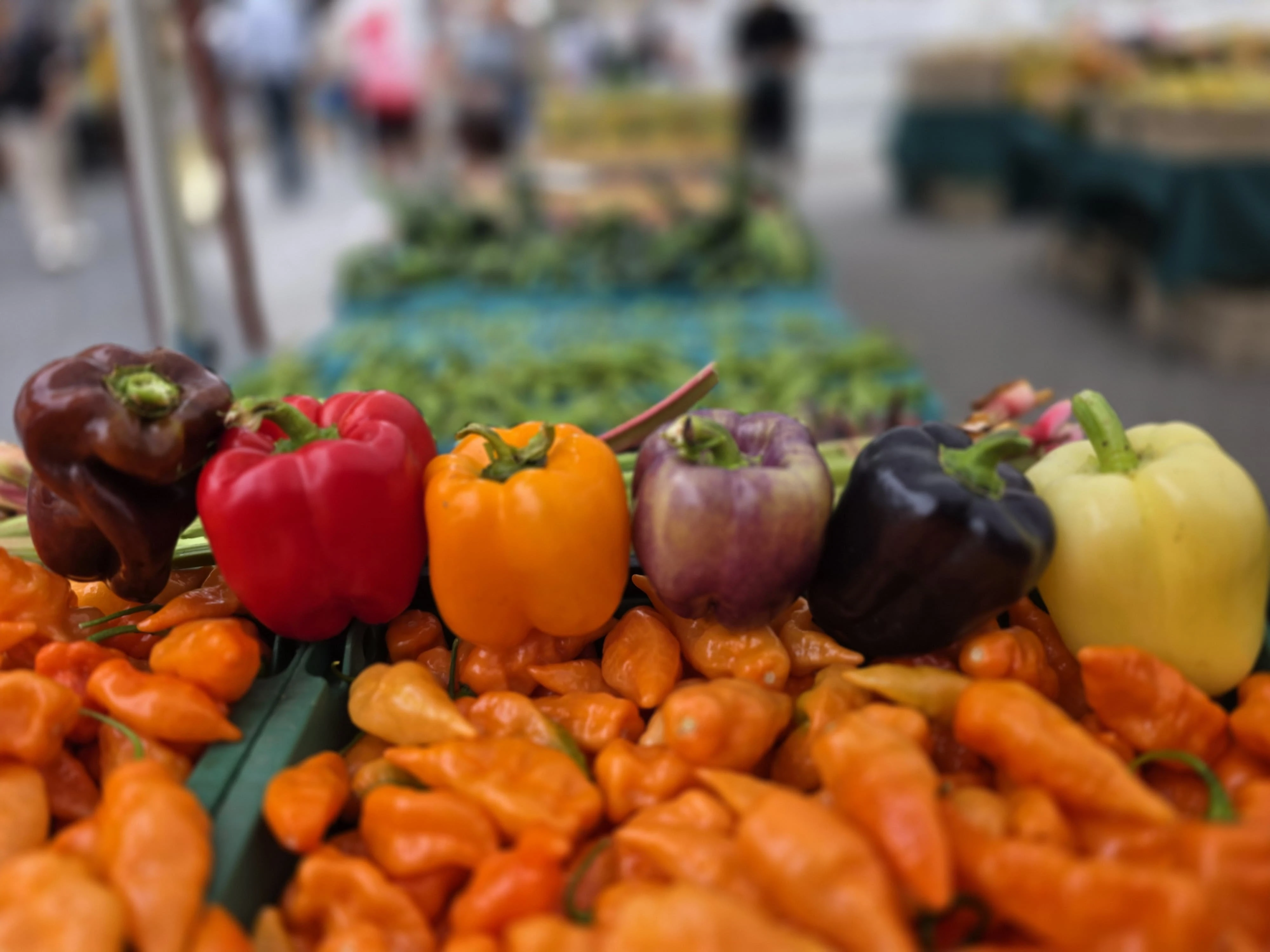Peppers