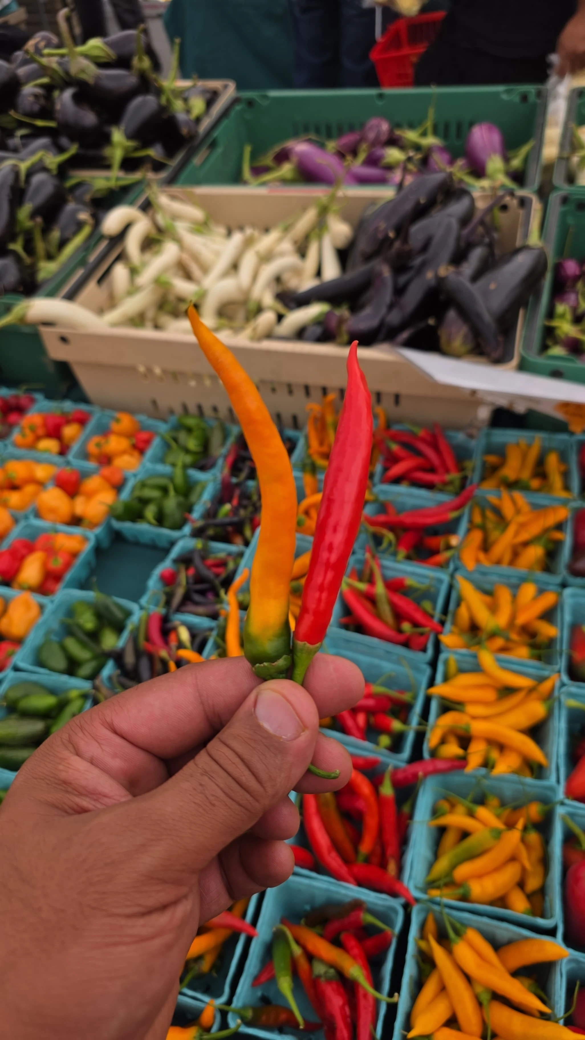 Peppers
