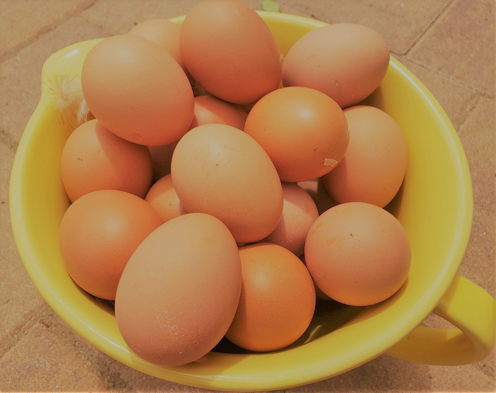 eggs-4.jpg