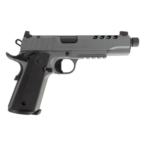 Tisas 1911 Night Stalker 10mm Semi-Auto Pistol with Platinum Grey Cerakote Finish