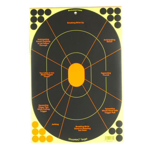 Birchwood Casey Shoot-N-C Handgun Targets - 12x18 Inches, Pack of 5