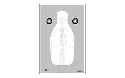Action Target FBI Q Target with Vital Anatomy * 100-Pack for Professional and Recreational Shooting