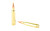 Nosler 223 Remington Ballistic Tip 55 Grain Ammunition * 20 Rounds per Box, 200 per Case