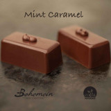 Bohemein Mint Caramel - A dark chocolate flowing caramel infused with peppermint in 70% dark shell, well balanced, not too sweet , Vegan Friendly