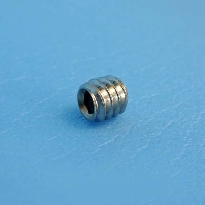 CAREFREE S/STEEL SCREW