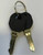Coast Door Replacement Key. Code B12 ( M500-910 )