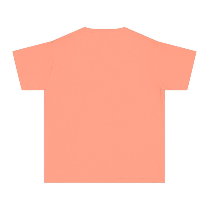 Gulf Coastal Zen Forgotten Coast Fl St George Island Sea Turtle SEA FLORIDA Comfort Colors Short Sleeve Youth Midweight Tee