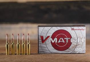  6mm ARC Hornady 80 gr ELDVT