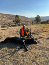The Truth About the Best All-Around Hunting Cartridge