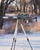 vortex switchback tripod