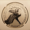 2021 American Silver Eagle Silver Design Set Type 1 & 2 NGC Reverse Proof PF70