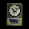 2019-S American Silver Eagle Enhanced Rev. Proof (#18418) w OGP ANACS PF70 DCAM