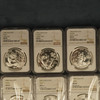 1989-2024 China Silver 1 oz Panda Run NGC MS69 (36coins) SOLD AS SET