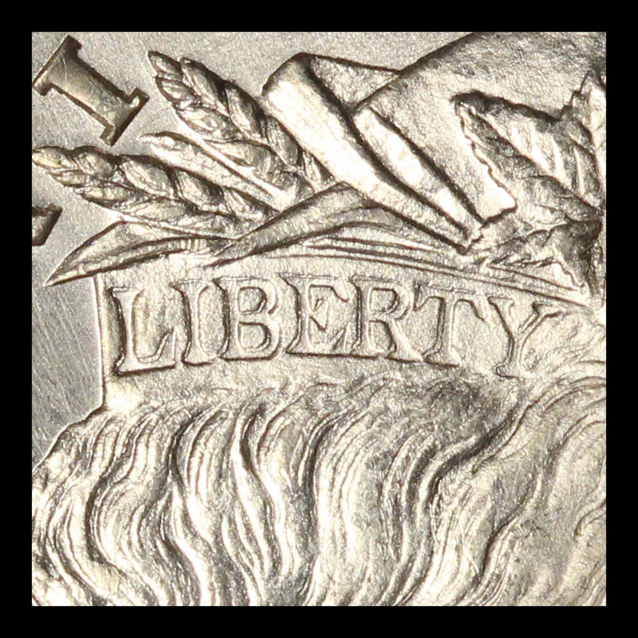 1878 8TF VAM18 Doubled Liberty Morgan Silver Dollar - Free
