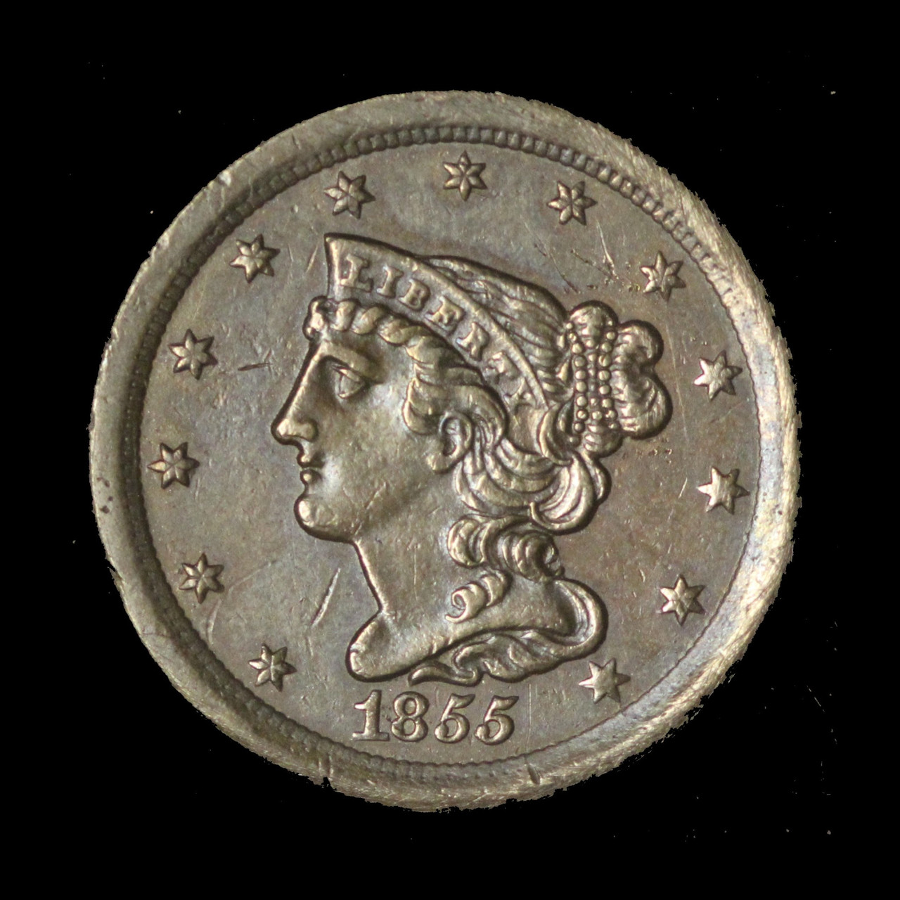 1855 H1C Braided Hair Half Cent - Free Shipping USA - The Happy Coin