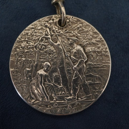 1898 France Syndicate Pomologique Silver Medal by August Rivet - Free Ship USA