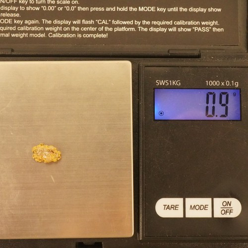 0.9 Gram Natural Gold Nugget Specimen- Free Shipping USA