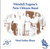 504 Records - Wendell Eugenes New Orleans Band - West Indies Blues