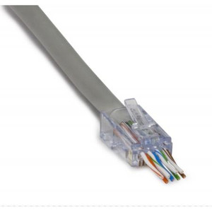 PLATINUM TOOLS RJ45 Connector ezEX44 Connectors, 50/Clamshell .