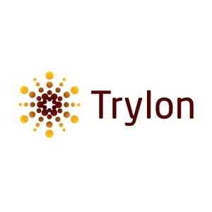 TRYLON 12' Platform Hand Rail