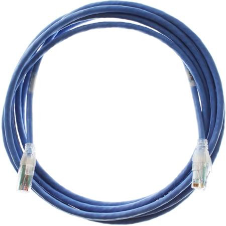50ft. CAT6+ Patch Cord CMR BLU
