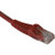 TRIPP LITE 1' Category 6 Molded Snagless Patch Cord with RJ45 male to male connectors. Red jacket.