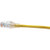 BELDEN 4' Category 6+ patch cord, bonded-pair, 4 pair, 24 AWG solid, CMR, T568A/B-T568A/B, yellow jacket.