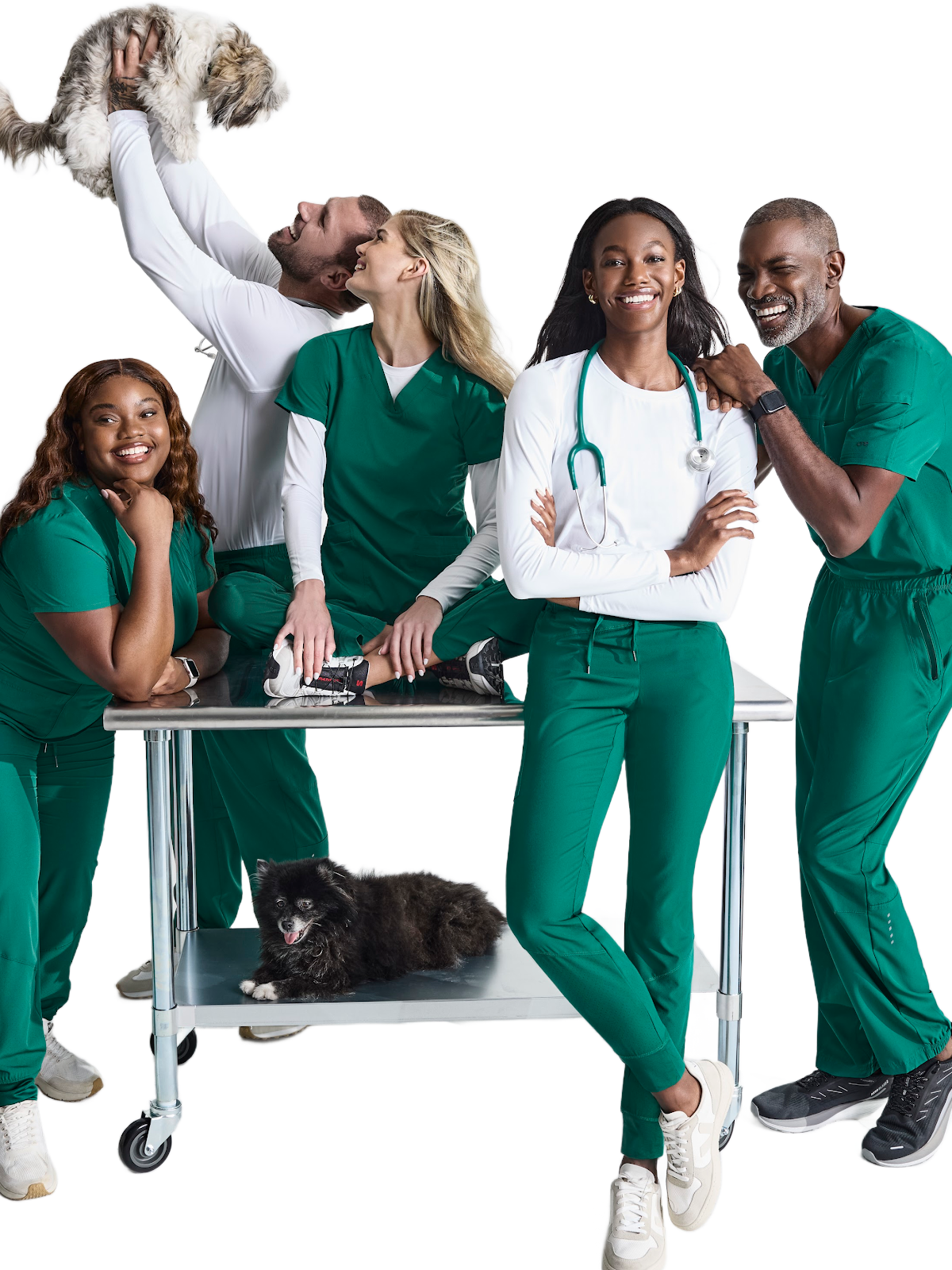 Veterinary & Specialty Clinics