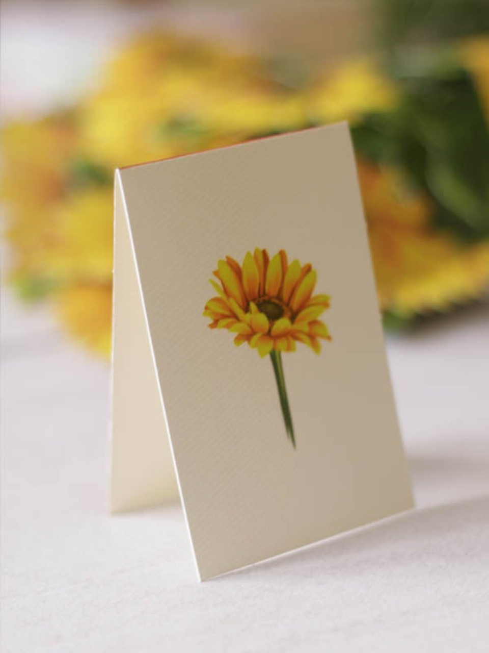 FreshCut Paper Pop Up Flower Bouquet Greeting Card - Yellow Tulips